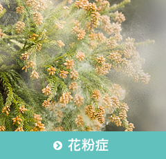 花粉症