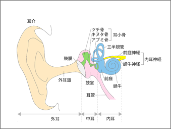 耳管機能検査とは